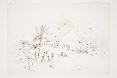 New Caledonia by Charles Heaphy